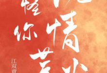 《怪你风情惹火》 百度云txt小说下载全文阅读云及月江祁景作者江双意-红橙子小说网