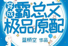 《穿成霸总文中极品原配》 百度云txt小说下载全文阅读苏晚晴作者蓝桥空-红橙子小说网